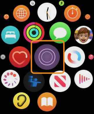 Phone Buddy Phone Lost Alert Apple Watch List View Home Screen App Icon